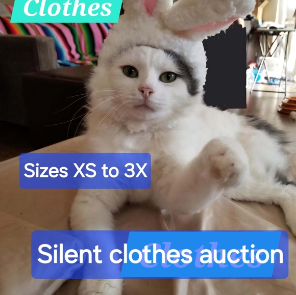 Live Show Flyer - Picture 6 of 10